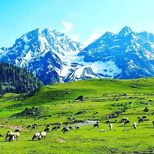 Doodhpathri Meadows